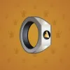 Signet Ring #14419