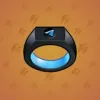 Signet Ring #14479