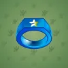 Signet Ring #14777