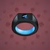 Signet Ring #14797
