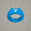 Signet Ring #1493