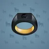 Signet Ring #1656