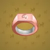 Signet Ring #179