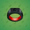 Signet Ring #2070