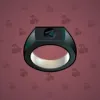 Signet Ring #2198