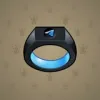 Signet Ring #224