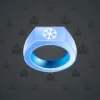 Signet Ring #2251