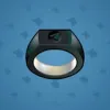 Signet Ring #2253