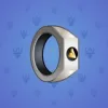 Signet Ring #2254