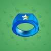 Signet Ring #2313