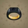 Signet Ring #2414