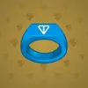 Signet Ring #2511