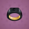 Signet Ring #2517