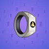 Signet Ring #2538