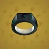 Signet Ring #2747