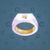 Signet Ring #2796