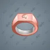 Signet Ring #2812