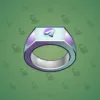 Signet Ring #2855