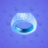 Signet Ring #2859
