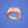 Signet Ring #2886