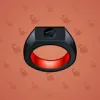 Signet Ring #289