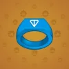 Signet Ring #290
