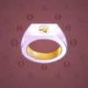 Signet Ring #2910