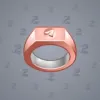 Signet Ring #298