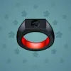 Signet Ring #3045