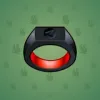 Signet Ring #314