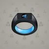 Signet Ring #3176