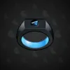 Signet Ring #3246