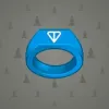 Signet Ring #3253