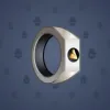 Signet Ring #333