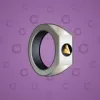 Signet Ring #3408