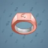 Signet Ring #341