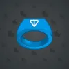 Signet Ring #344