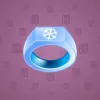 Signet Ring #3490