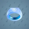 Signet Ring #3518