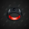 Signet Ring #3538