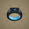 Signet Ring #360