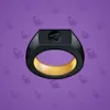 Signet Ring #3663