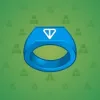 Signet Ring #3696