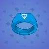 Signet Ring #373