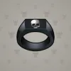 Signet Ring #380