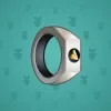 Signet Ring #3802