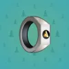 Signet Ring #3851