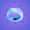 Signet Ring #3859