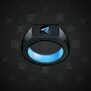 Signet Ring #404