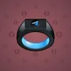Signet Ring #4042